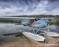 TSR Watermark - 0276